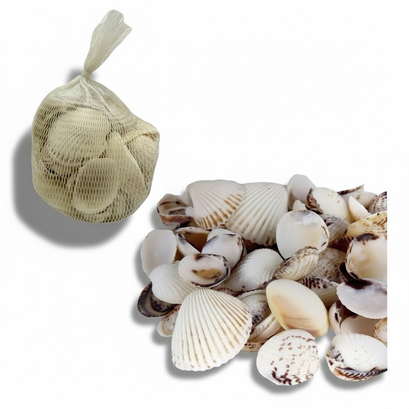 Deniz Çakıl Taşı Fileli